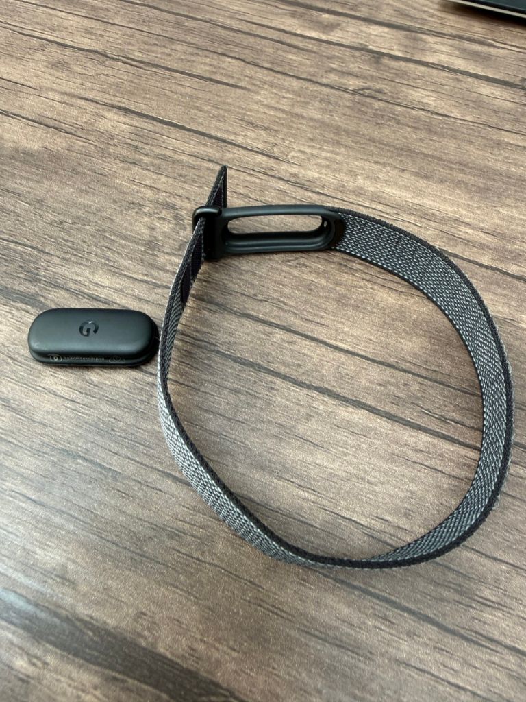 Google Fitbit Air の本体をバンドから外した状態
